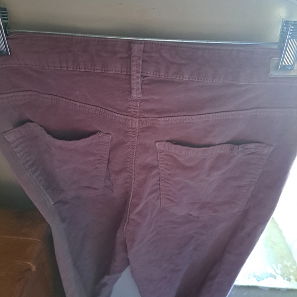 Seven7 Women's Purple Pants - Picture 4 of 16